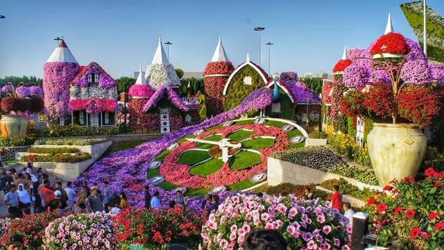 Dubai Itinerary - Miracle Garden