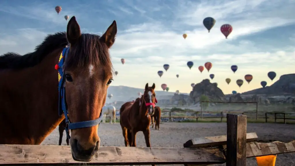 Cappadocia Travel Guide