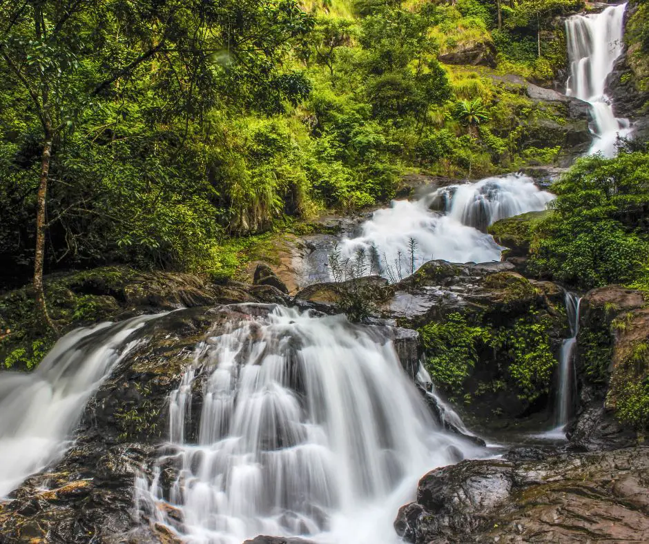 Things to Do in Coorg : Iruppu falls