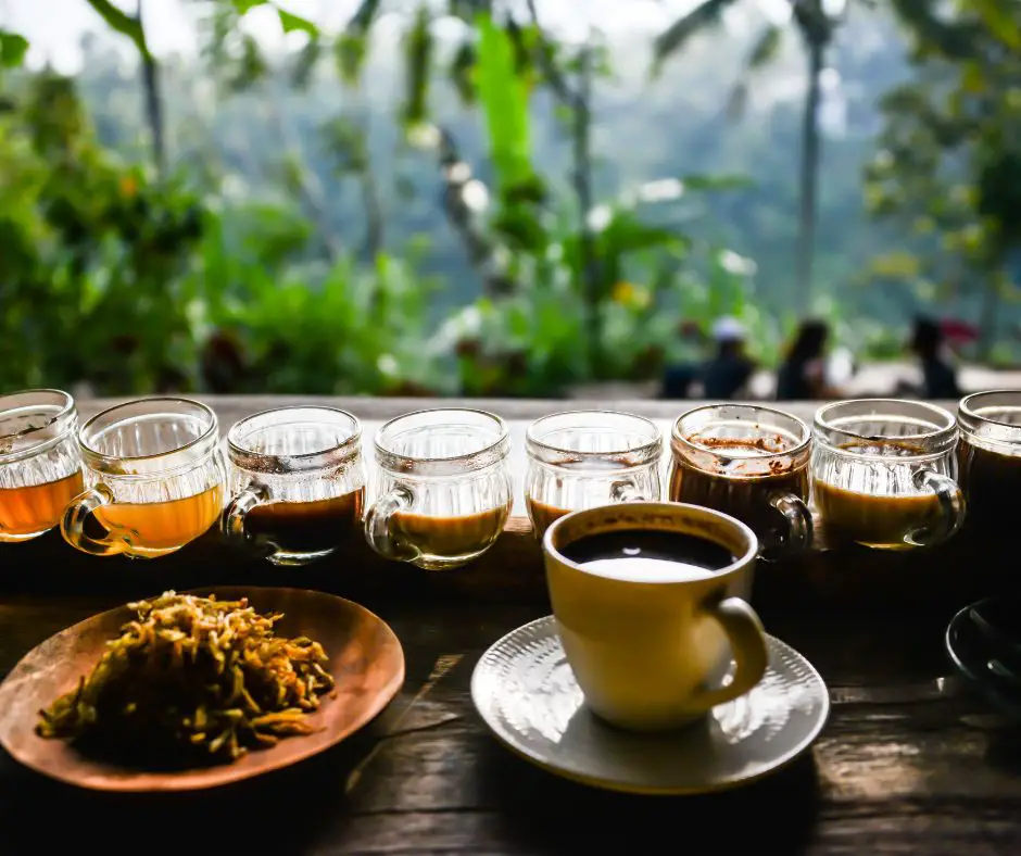 What to buy in Bali - Kopi Luwak - Bali Souvenirs