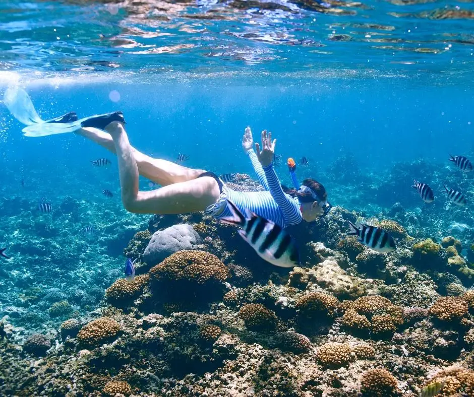 Snorkeling in North Bali sea