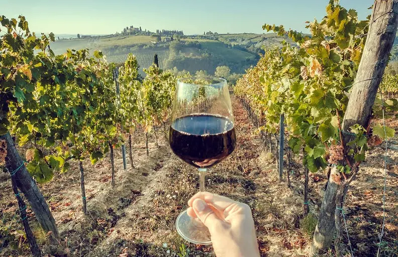 2 weeks in Italy itinerary - Chianti Vineyards