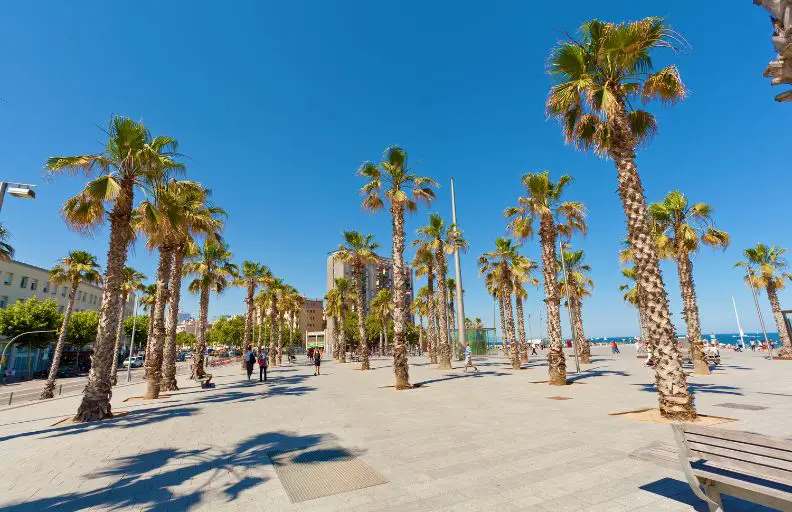 The Ultimate 3 Days in Barcelona Itinerary For First Timers