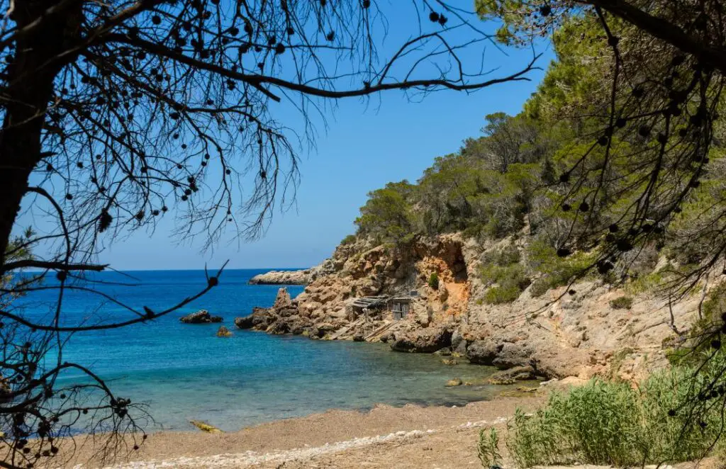 The Best Ibiza Beaches for Every traveller: An Exclusive Guide!