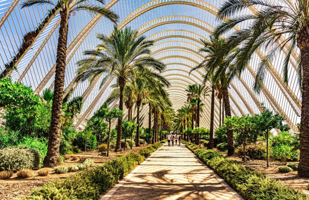 Valencia Itinerary: One Day in Valencia is all you need